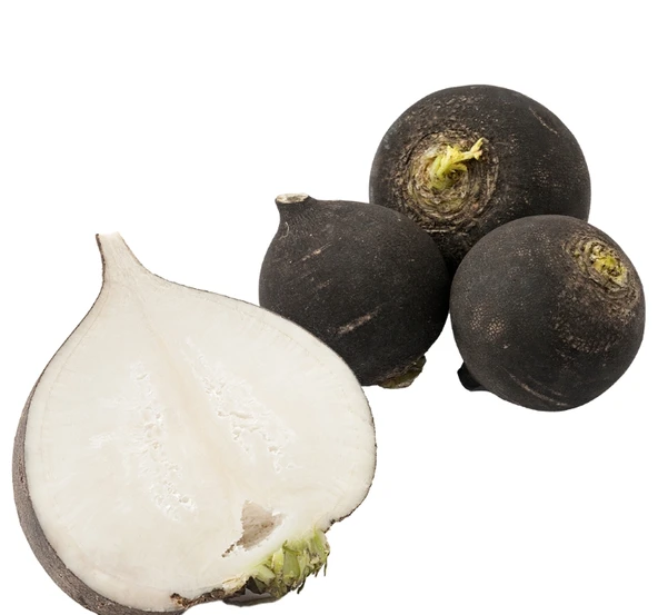 TURP SİYAH ( ÇOKLU TOHUM ) - 5 Gram ürün görseli 1