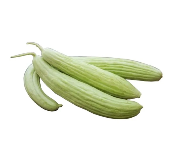 ACUR ( ÇOKLU TOHUM ) - 5 Gram ürün görseli 1
