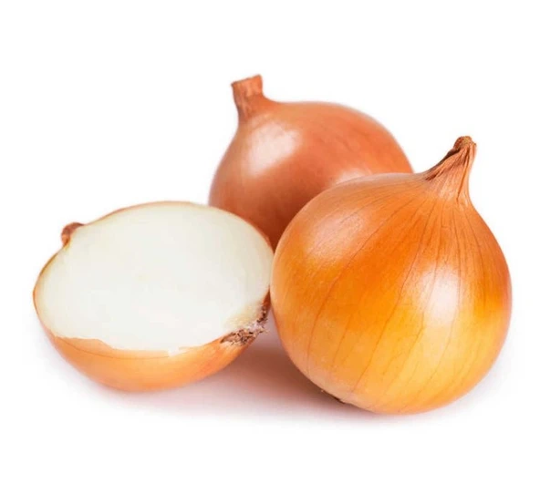 SOĞAN ( ÇOKLU TOHUM ) - 5 Gram ürün görseli 1