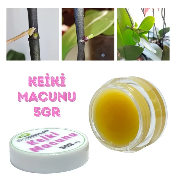 KEİKİ MACUNU ORKİDE VE BİTKİ ÇOĞALTMA DAL ÇIKARMA 5GR ürün görseli 1