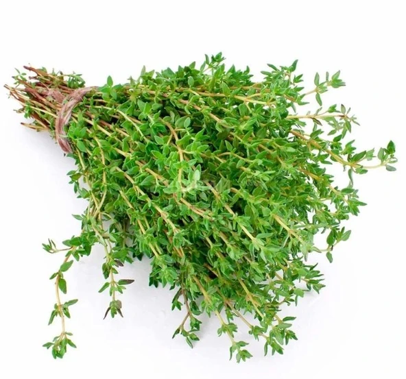 KEKİK ( ÇOKLU TOHUM ) - 3 Gram ürün görseli 1