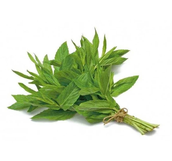 NANE ( ÇOKLU TOHUM ) - 3 Gram ürün görseli 1