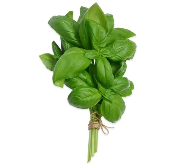 FESLEĞEN ( ÇOKLU TOHUM ) - 3 Gram ürün görseli 1