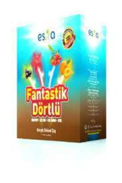 Enval Fantastik Dörtlü Yaz Çayı 45 Poşet ürün görseli 1