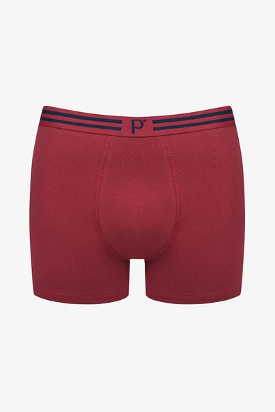 Colourful 3lü Çok Renkli Boxer Külot - Resim 2