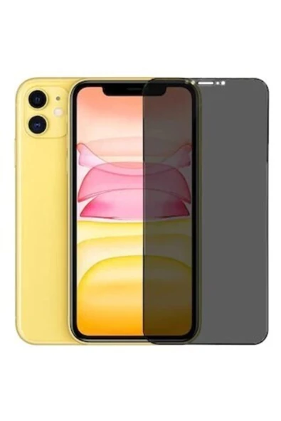 Apple Iphone 12 Mini Full-screen Privacy Görünmez Mat Hayalet Ekran Koruyucu Cam ürün görseli 1