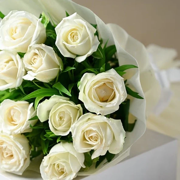 Tüplü Kordes Rosen White Masquerade Yediveren Gül Fidanı ürün görseli 1