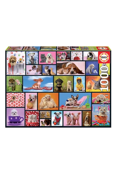 Puzzle 1000 Parça Shared Moment 15518 ürün görseli 1