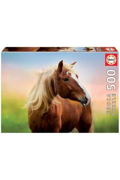 500 Horse At Sunrıse Fsc(R) ürün görseli 1