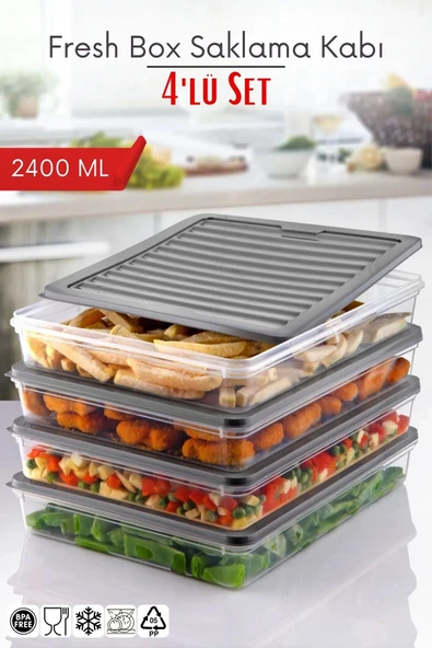 4'Lü Set Freshbox Mikrodalga ve Difrize Uygun Saklama Kabı Gri ürün görseli 1