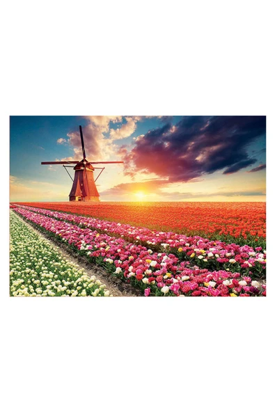 Puzzle 1500 Parça Lale Manzarası 18465 - Resim 3