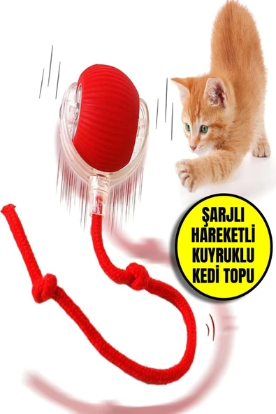 Şarjlı Otomatik Hareketli Kedi Köpek İçin 360 Derece Dönen İnteraktif Akıllı Oyun Topu ürün görseli 1