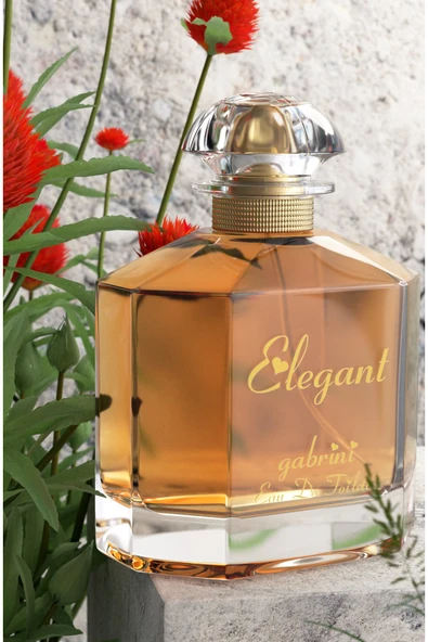 Gabrini Elegant EDT 120 Ml - Resim 6