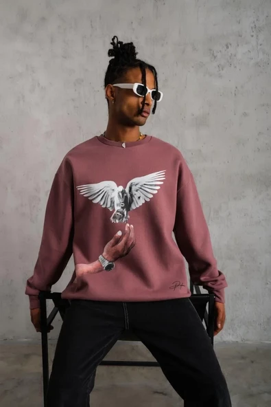 Erkek Güvercin Baskılı Sweatshirt - Gül Kurusu - Resim 5