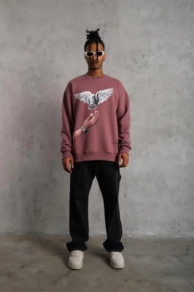 Erkek Güvercin Baskılı Sweatshirt - Gül Kurusu ürün görseli 1