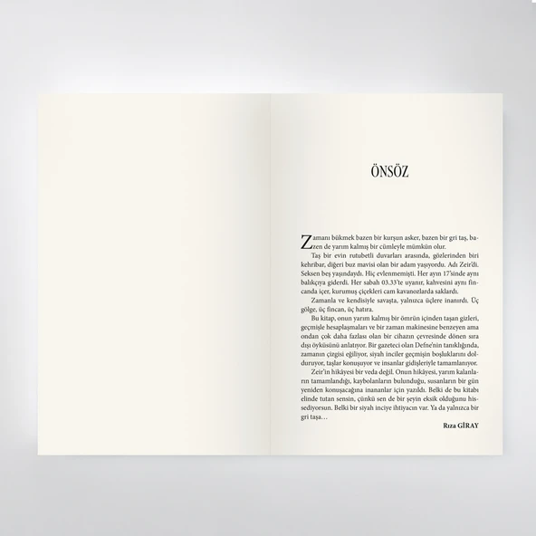 Sonsuz Eşik - Rıza Giray - Resim 4