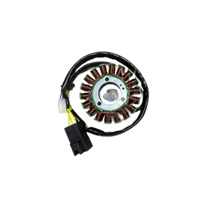 Cf Moto Nk250 Statör Komple Oem ürün görseli 1