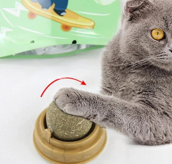 Kedi Otu Oyun Topu - Resim 3