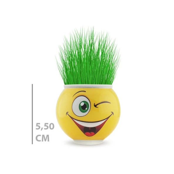 Çim Adam Saksı Emoji Figürlü 1 Adet - Resim 4