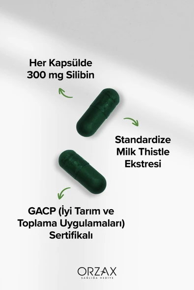 Milk Thistle 30 Tablet 300mg Silbin - Resim 3