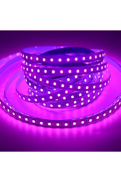 ERBAY 120 Ledli Mor Işık Şerit Led 5 Metre 60 Watt Mor 12 Volt ürün görseli 1