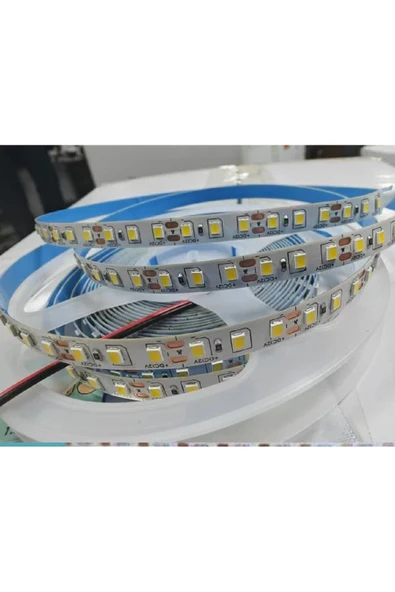 ERBAY Profesyonel Şerit Led 240 Ledli Şerit Led 5 Metre Trafo Hariç İç Mekan ürün görseli 1