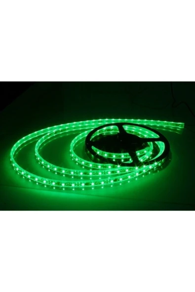 ERBAY 5 Metre Tek Çip Şerit Led Içmekan Yeşil Renk ürün görseli 1