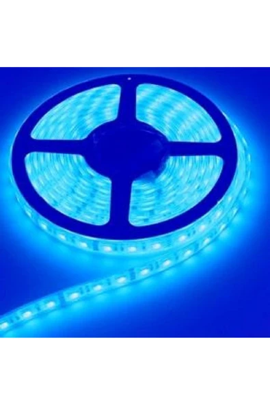 ERBAY 3 ÇİP  4040 DIŞ MEKAN SİLİKONLU ŞERİT LED MAVİ - KIRMIZI ürün görseli 1