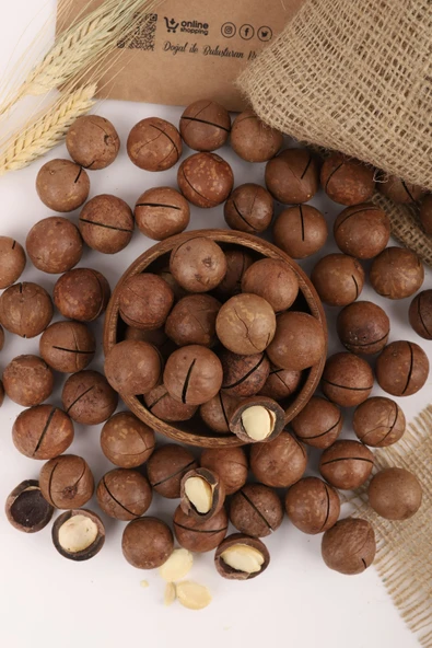 Makademya Fındığı Kabuklu 500 g - Resim 2