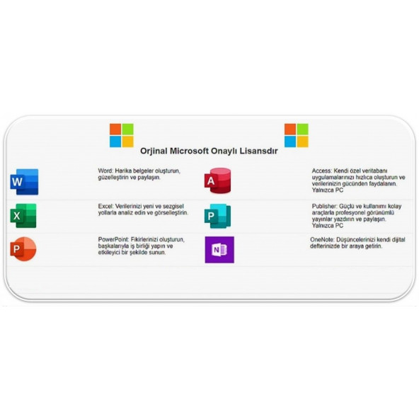 Microsoft Office 2019 Professional Plus Etiket Lisans Kurumsal - Resim 4