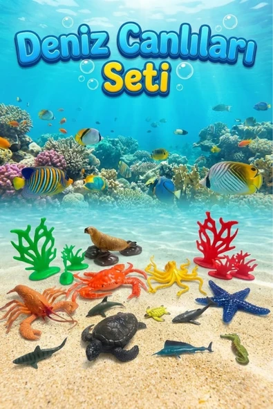Okyanus Dünyası Eğitici Deniz Canlıları Figür Seti - 12 Parça Gerçekçi Hayvanlar ürün görseli 1