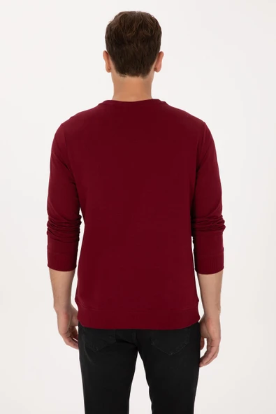 2303161 US POLO SWEAT - Resim 7