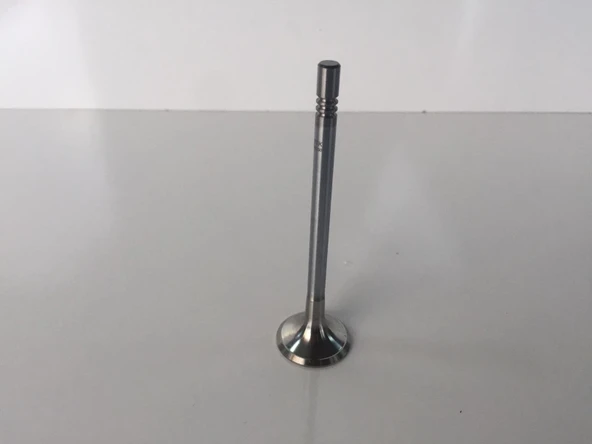 SUBAP VW A4 A5 A6 A8 Q7 T6 2.0 TDI 16V 059109601G ürün görseli 1