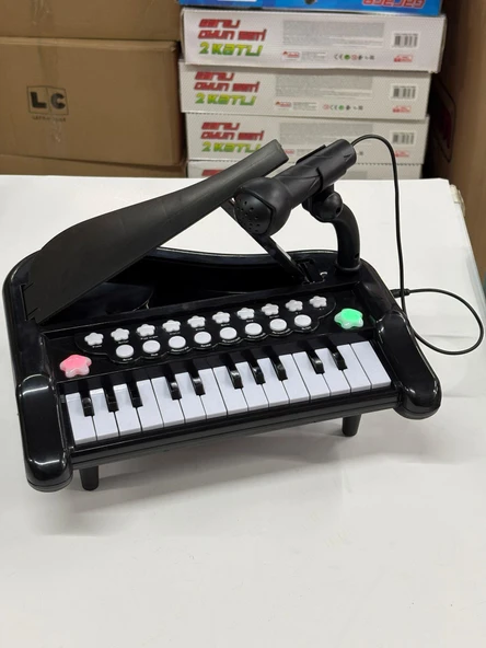 25 Tuşlu Mikrofonlu Minyatür Piyano Müzik Ses Efektleri 29 Cm Mini Org ürün görseli 1