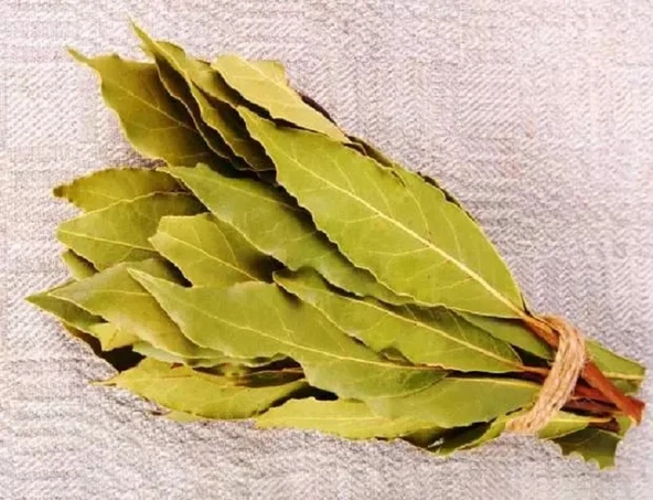 DEFNE YAPRAĞI (EL YAPIMI) - 500 GR - Resim 5