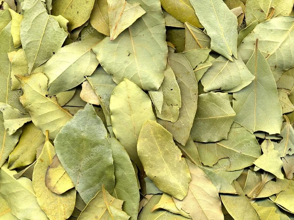 DEFNE YAPRAĞI (EL YAPIMI) - 500 GR - Resim 4