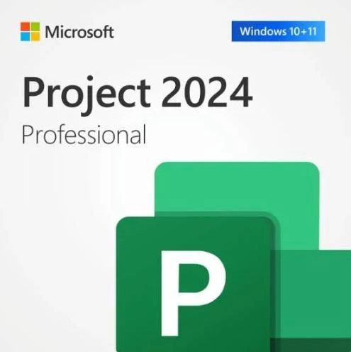 MİCROSOFT PROJECT PRO 2024 - ESD EP2-07000 ürün görseli 1