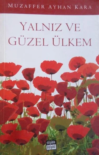 Yalnız ve Güzel Ülkem ürün görseli 1