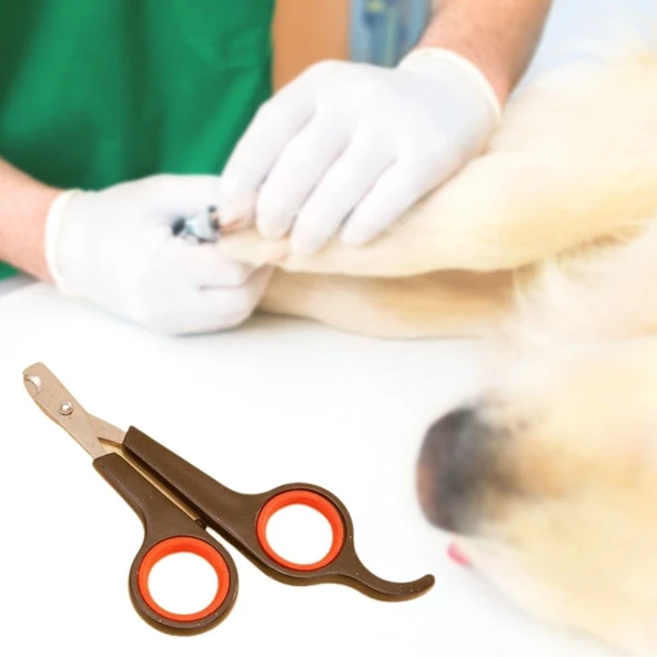 Küçük Çelik Uçlu Kedi Köpek Evcil Hayvan Tırnak Makası Pati Bakım Aleti Ergonomik Kaymaz Sap GO53/02903 ürün görseli 1