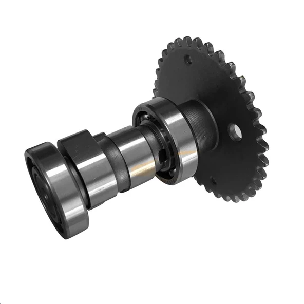 EKSANTRİK DİŞLİ SET SCT 50 ürün görseli 1
