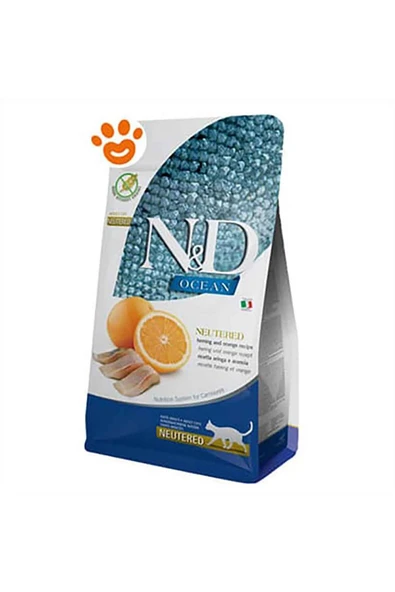N&D Ocean Morina Balkabağı Karides ve Kavun 5 kg Yavru Kedi Maması ürün görseli 1