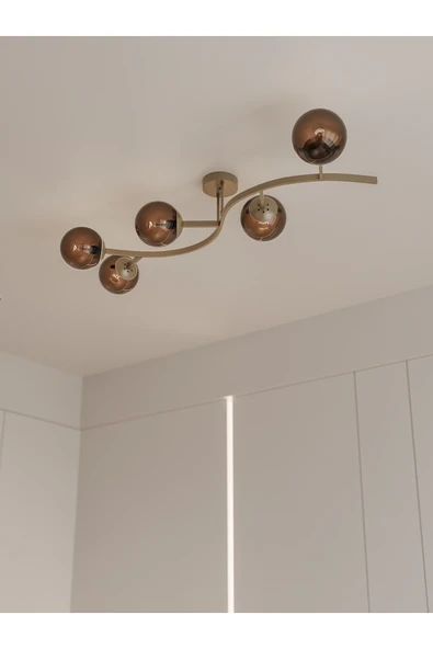 avizade NORİA Modern Eskitme Metal Gövdeli 5’li Bal Rengi Cam Küre Avize | Tavan Aydınlatma Avize Modeli ürün görseli 1