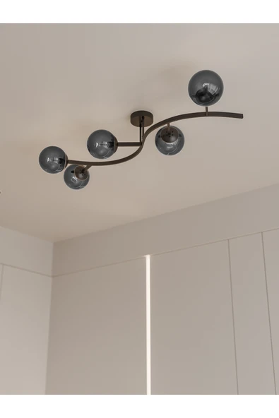 avizade NORİA Modern Siyah Metal Gövdeli 5’li Füme Cam Küre Avize | Tavan Aydınlatma Avize Modeli ürün görseli 1