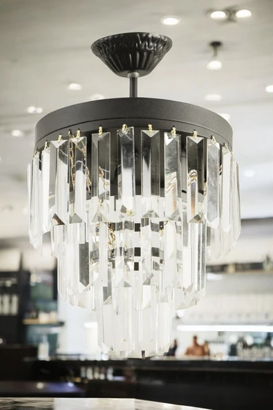 avizade Lüks Siyah Kristal Taşlı Modern Plafonyer Avize. Salon/Mutfak/Antre/Oturma Odası/Mağaza/ShowRoom ürün görseli 1