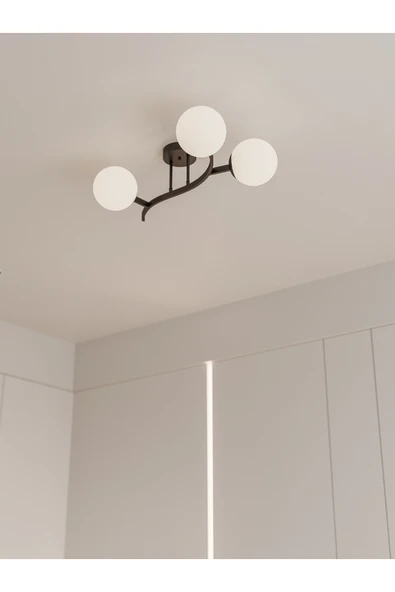 avizade Noria Modern Siyah Metal Gövdeli 3’lü Beyaz Cam Küre Avize | Kavisli Tavan Aydınlatma Avize Modeli ürün görseli 1