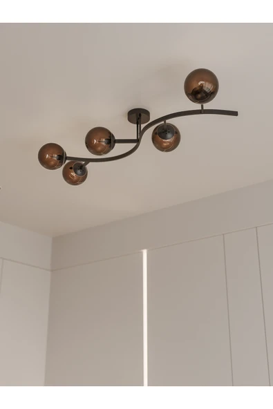 avizade NORİA Modern Siyah Metal Gövdeli 5’li Bal Rengi Cam Küre Avize | Tavan Aydınlatma Avize Modeli ürün görseli 1