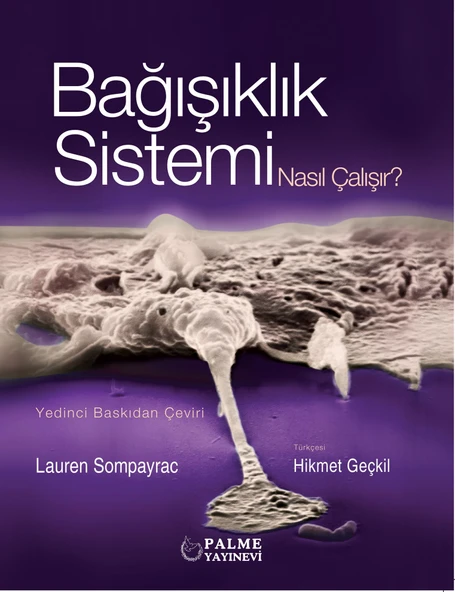 Palme Yayınevi Bağışıklık Sistemi Nasıl Çalışır ürün görseli 1