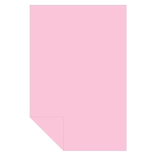 Alex Schoeller Fon Kartonu 160 Gram 35x50Cm 10 Pembe (100 Lü Paket) ürün görseli 1