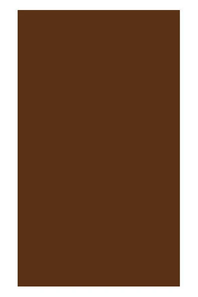 Canson Dokulu Fon Kartonu Kahverengi Mi-Teintes 50X65Cm 160 Gram Brown 340 (10 Lu Paket) ürün görseli 1