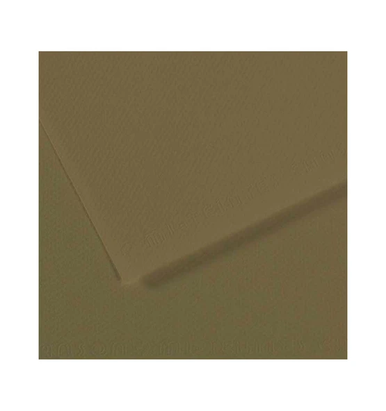 Canson Dokulu Fon Kartonu Mi-Teintes Sh Canmt 50X65Cm 160 Gram Grn Zeytin Yeşili 191 31032S129 (10 Lu Paket) ürün görseli 1